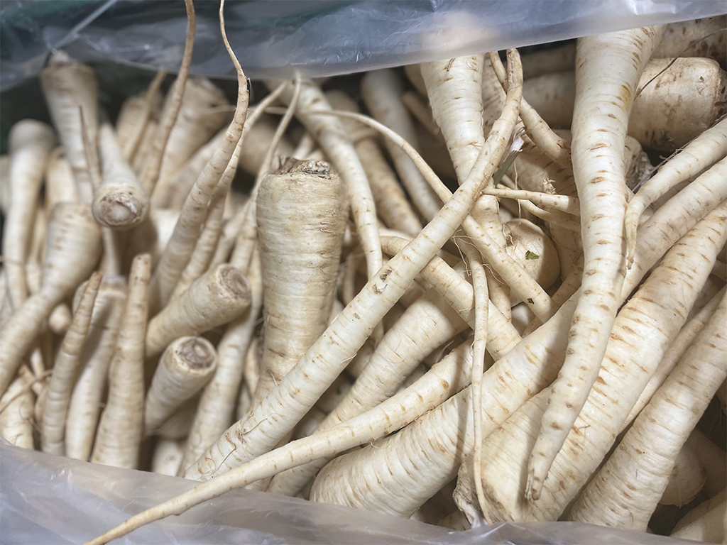 Petrezselyemgyökér lédig